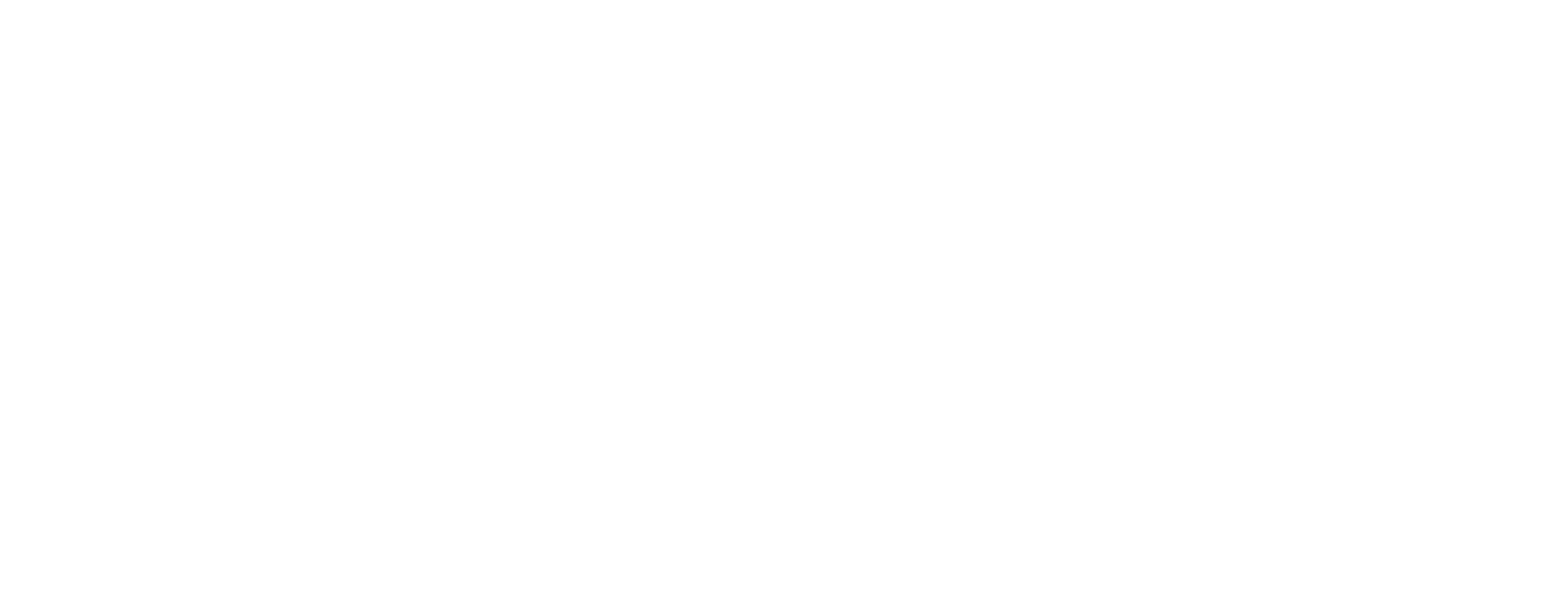 ESSENTIA SKI